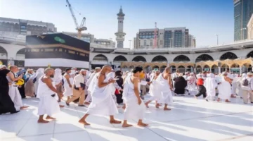 نتيجة حج الجمعيات الأهلية 2026: موعد الإعلان وتفاصيل إجراءات المقبولين